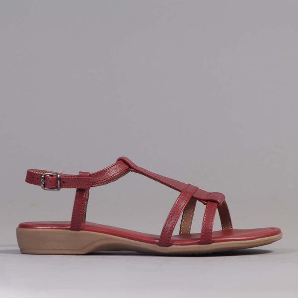 Slingback Sandal in Red - 12568 - Froggie Shoes
