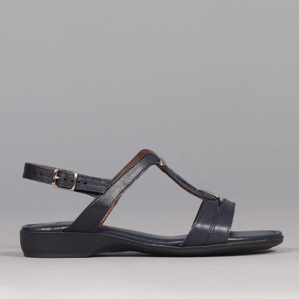 Slingback Flat Sandal in Navy - 12617 - Froggie Shoes