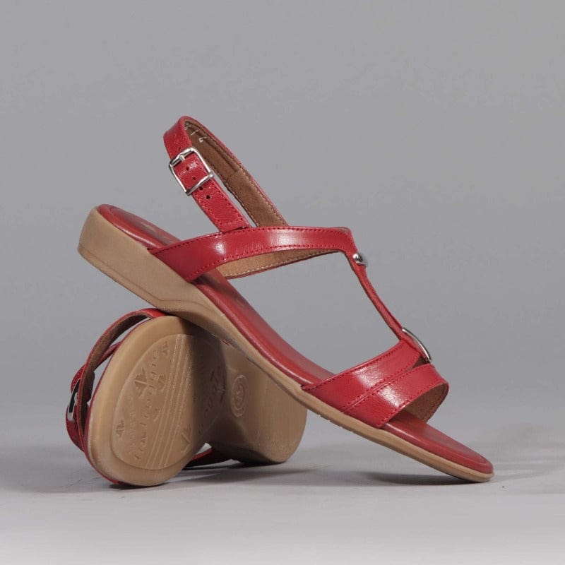 Slingback Flat Sandal in Red - 12617 - Froggie Shoes