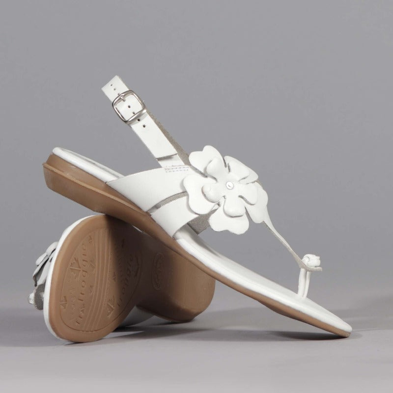 Flower Thong Sandal in White - 12621 - Froggie Shoes