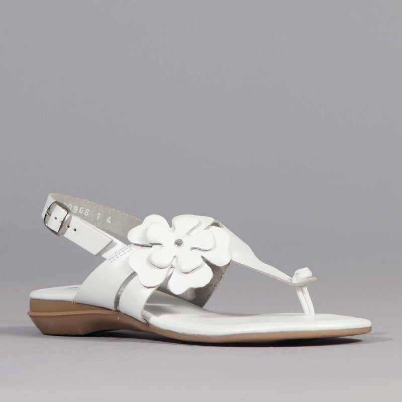 Flower Thong Sandal in White - 12621 - Froggie Shoes