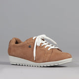 Lace-up Sneaker in Tan - 12656 - Froggie Shoes