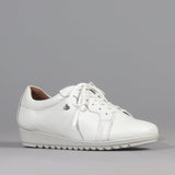 Lace-up Sneaker in White - 12656 - Froggie Shoes