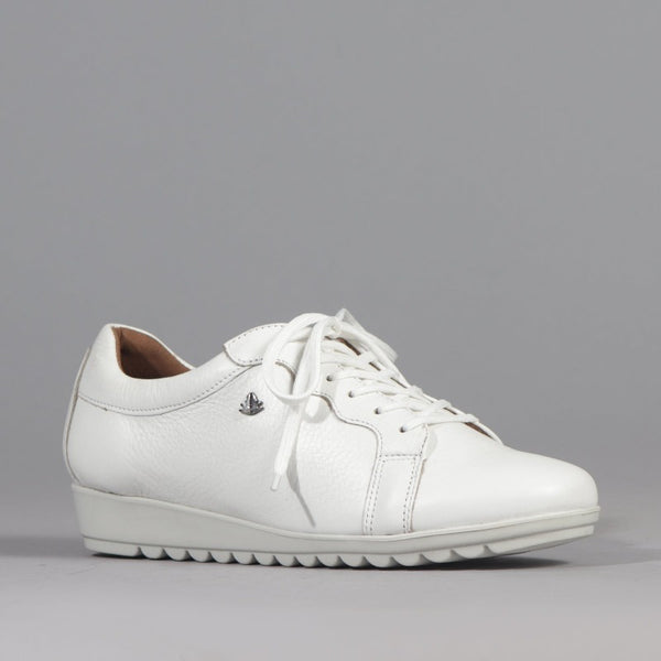 Lace-up Sneaker in White - 12656 - Froggie Shoes