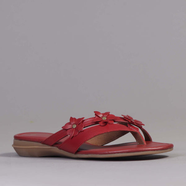 Factory Shop Shoes Flower thong sandal in Red - 12573