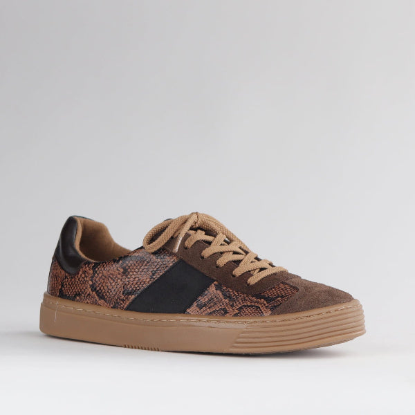 Froggie Shoes Shoes Retro Lace-up Sneaker in Python Multi -12795