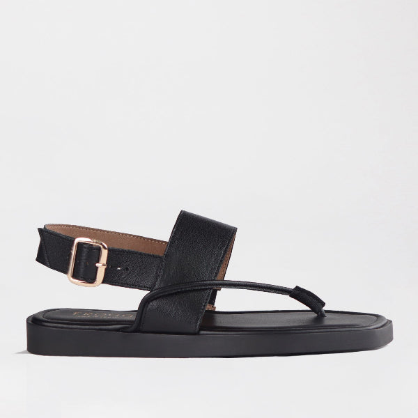 Froggie Shoes Shoes 4 / Black / 12868 Toe Thong flat sandal in Black - 12868