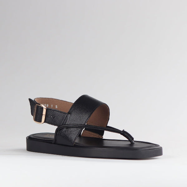 Froggie Shoes Shoes Toe Thong flat sandal in Black - 12868