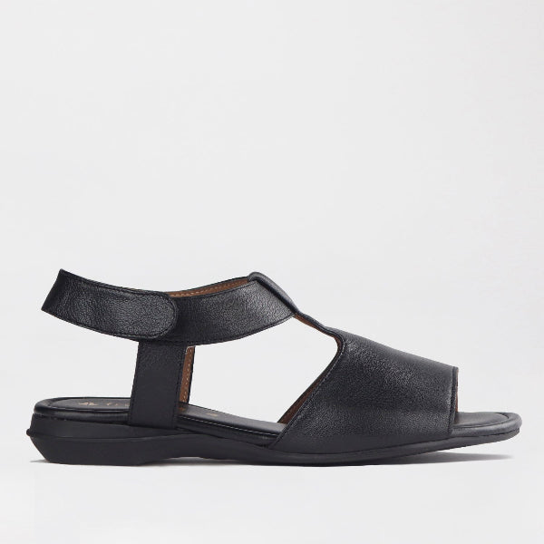 Factory Shop Shoes 3 / Black / 12554 Froggie Women&