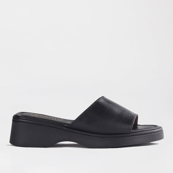 Factory Shop Shoes 3 / Black / 12925 Froggie Women&