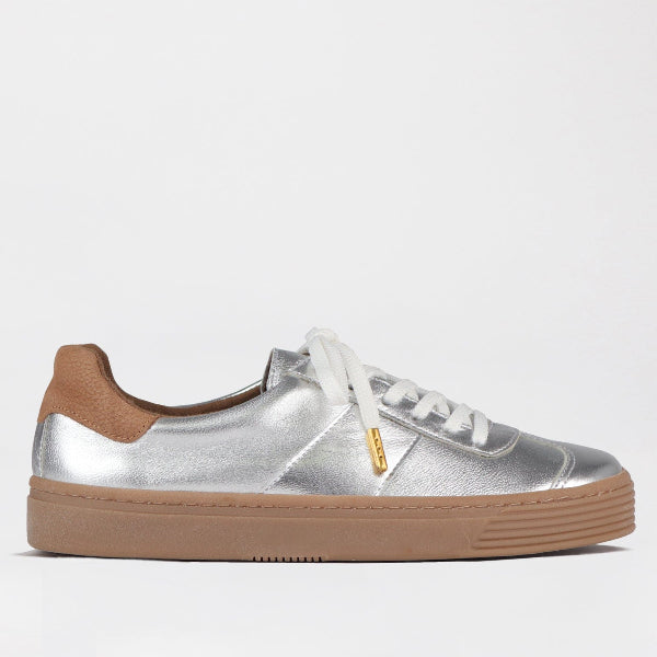 Froggie Shoes Shoes 12795 / Multi Silver / 4 Retro Lace-up Sneaker in Silver Multi -12795