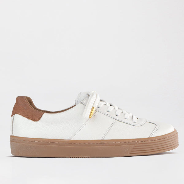 Froggie Shoes Shoes 12795 / White Multi / 4 Retro Lace-up Sneaker in White Multi -12795