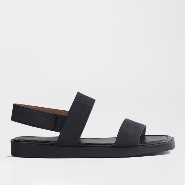 Froggie Shoes Shoes 3 / Black / 12867 Froggie Women&