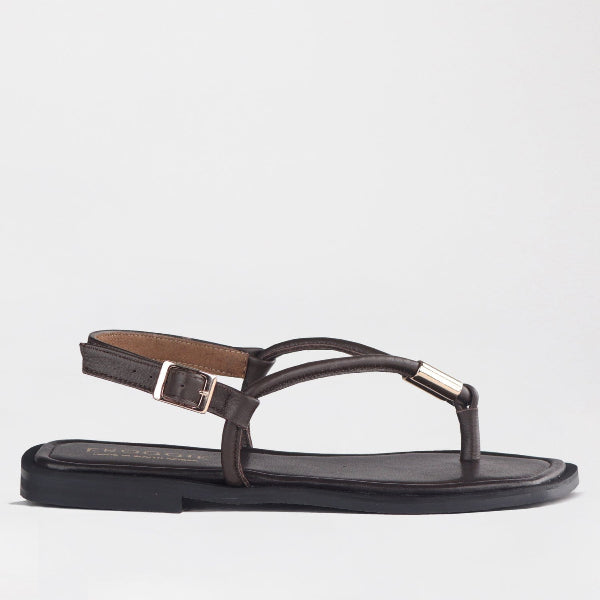 Froggie Shoes Shoes 4 / Brown / 12994 Spaghetti jewel thong Flat Sandal in Brown - 12994