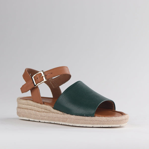 Froggie Shoes Shoes Espadrille Wedge Sandal in Pine - 12966