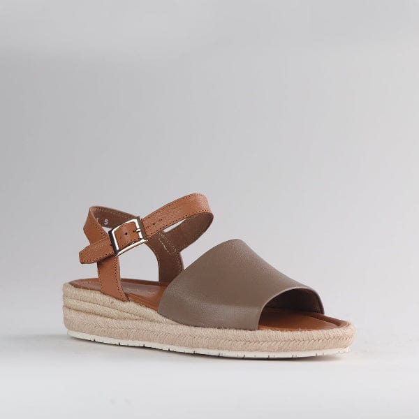 Froggie Shoes Shoes Espadrille Wedge Sandal in Stone - 12966