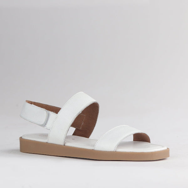 Froggie Shoes Shoes Froggie Women&