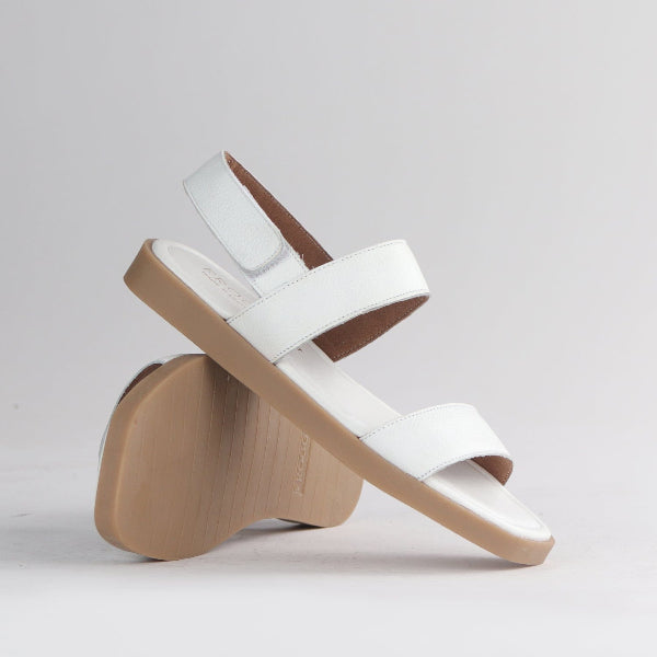 Froggie Shoes Shoes Froggie Women&