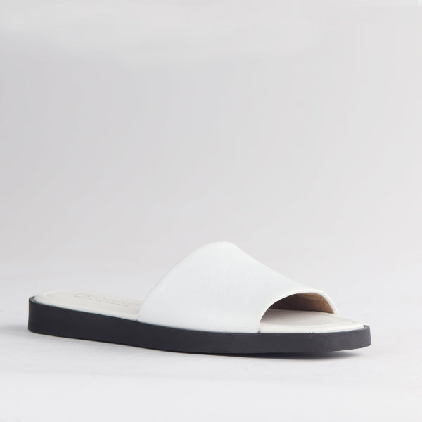 Froggie Shoes Shoes Froggie Women&