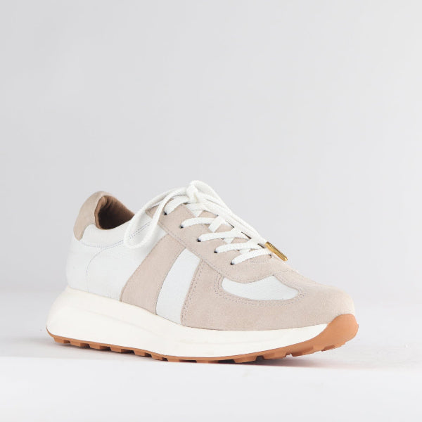 Froggie Shoes Shoes Lace-up Sneaker in Ice White -12688