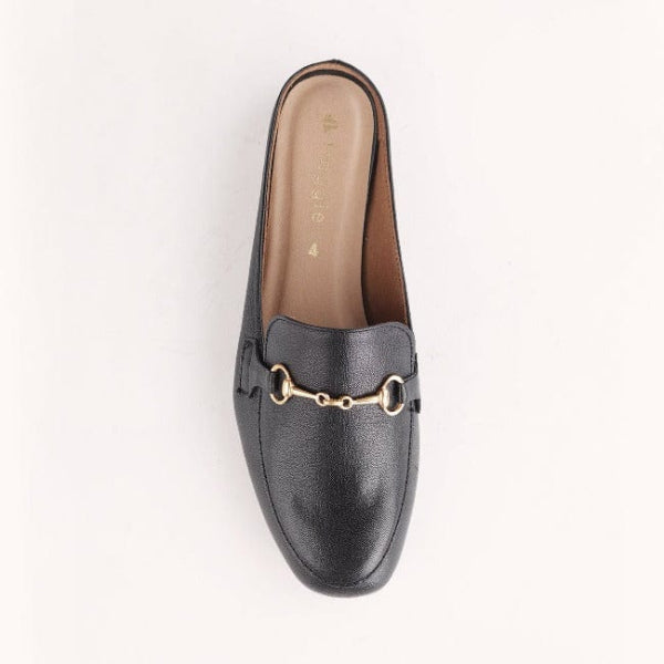Froggie Shoes Shoes Mule with Gold Trim in Black - 12450