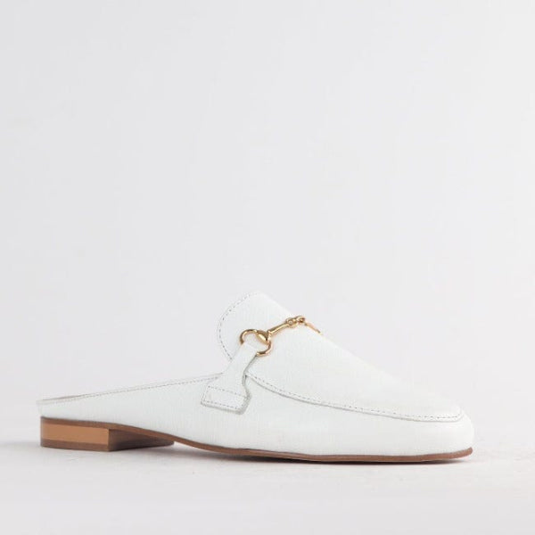 Froggie Shoes Shoes Mule with Gold Trim in White - 12450