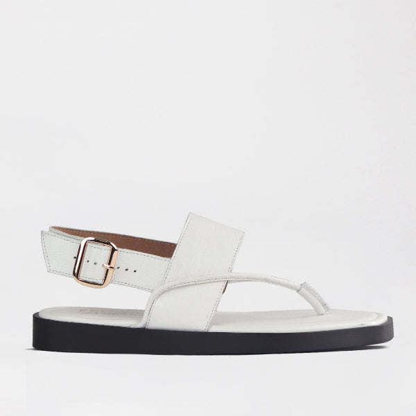 Froggie Shoes Shoes Toe Thong flat sandal in White - 12868