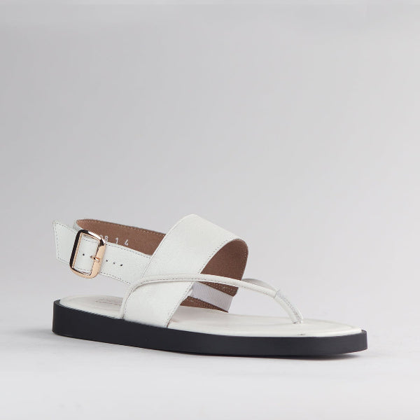 Froggie Shoes Shoes Toe Thong flat sandal in White - 12868