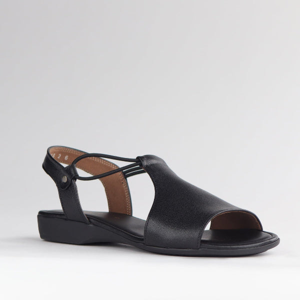 Froggie Shoes Shoes Wider Fit Sandal in Black - 12140