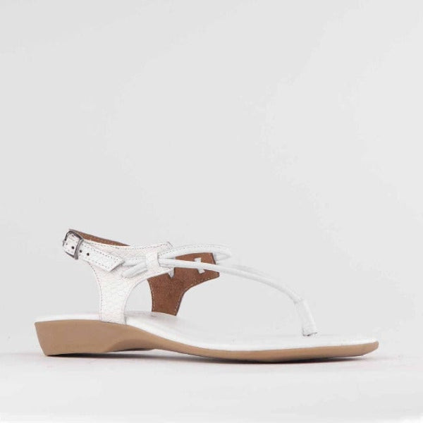 Froggie Shoes Shoes Women&