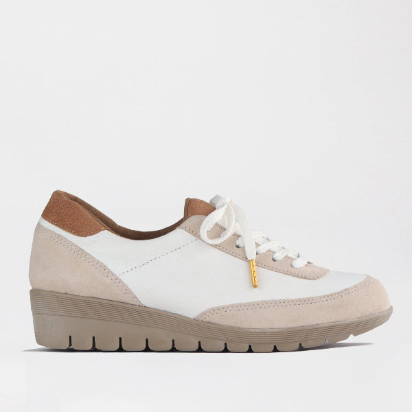 Froggie Shoes Shoes C37 / stone multi / 12844 Lace-up Sneaker in Stone Multi - 12844