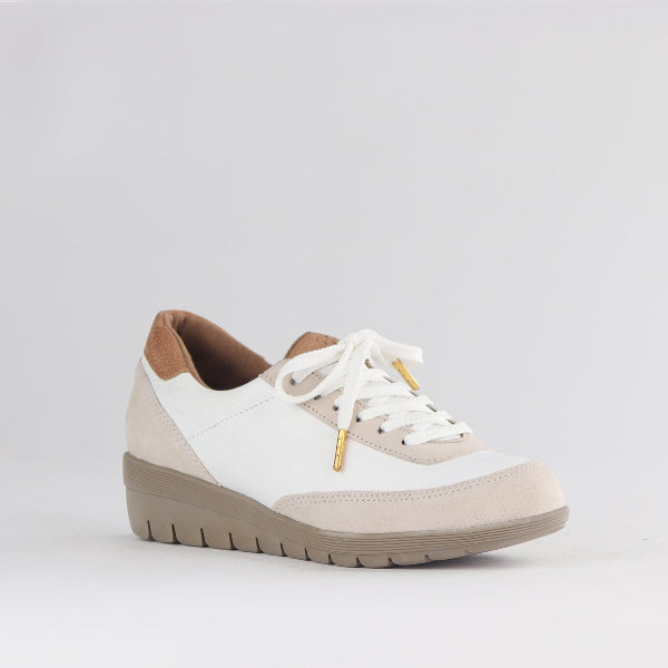 Froggie Shoes Shoes Lace-up Sneaker in Stone Multi - 12844