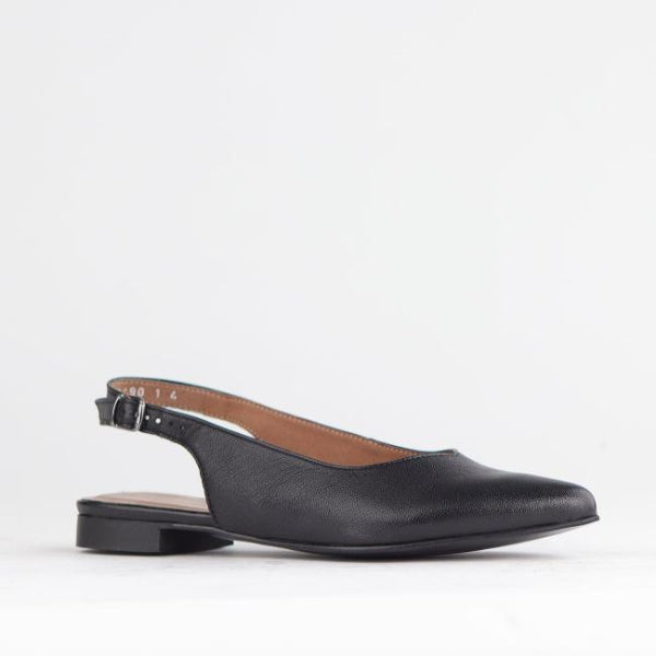 Froggie Shoes Shoes Pointed Flat Slingback in Black - 12729