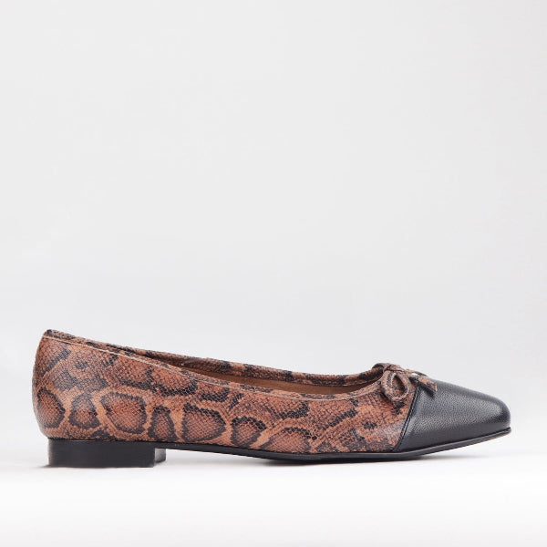 Froggie Shoes Shoes 3 / Saddle Multi / 12586 Flat Pump with Bow in Saddle Multi - 12586