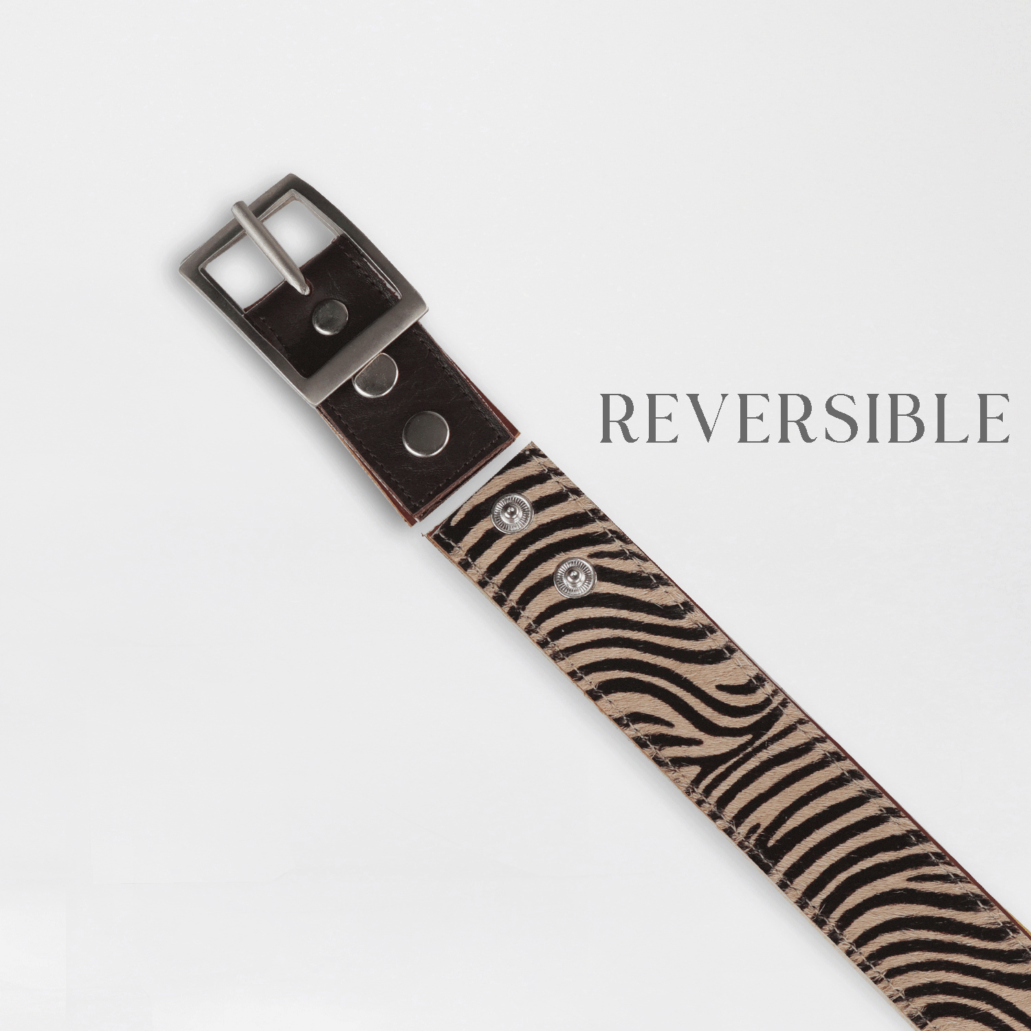 Froggie Shoes Shoes Women&