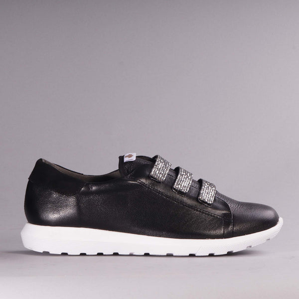 Sneaker in Black Multi - 12381 - Froggie Shoes