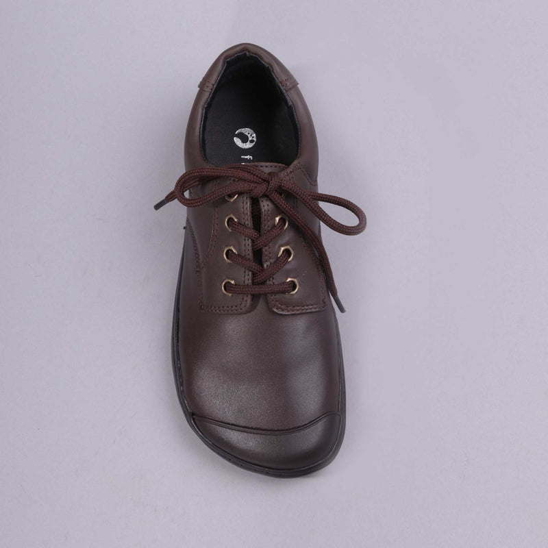 Boys Lace-up School Shoe in Brown Sizes 34-38 - 7824 - Froggie Shoes