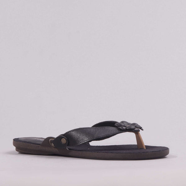 Flower Thong Sandal in Black - 7968 - Froggie Shoes