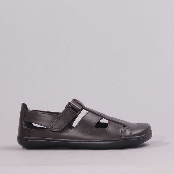 Boys School Sandal  in Brown Sizes  28 -33 - 7816 - Froggie Shoes