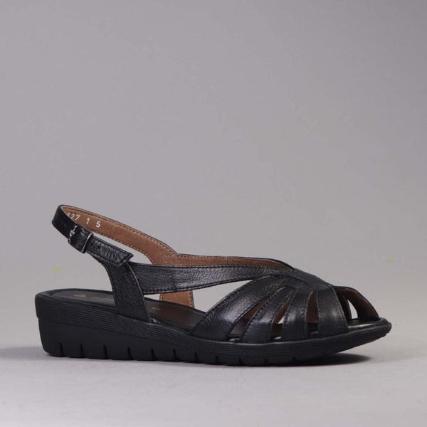 Froggie Slingback Sandal in Black 