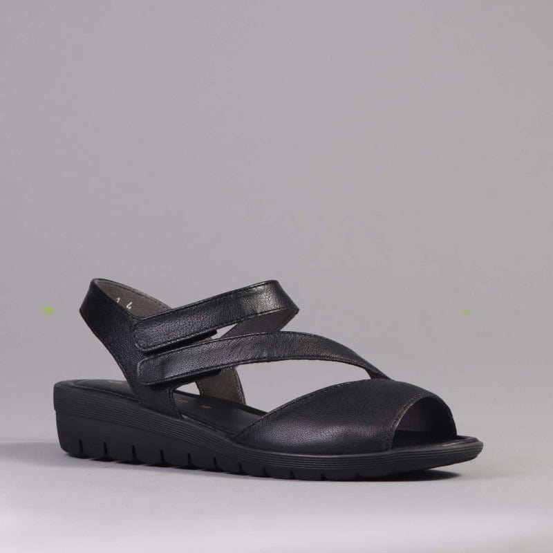 Froggie Velcro Sandal in Black