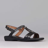 Slingback Flat Sandal in Black - 12617 - Froggie Shoes