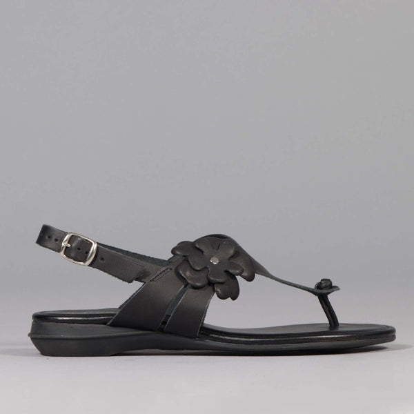 Flower Thong Sandal in Black - 12621 - Froggie Shoes