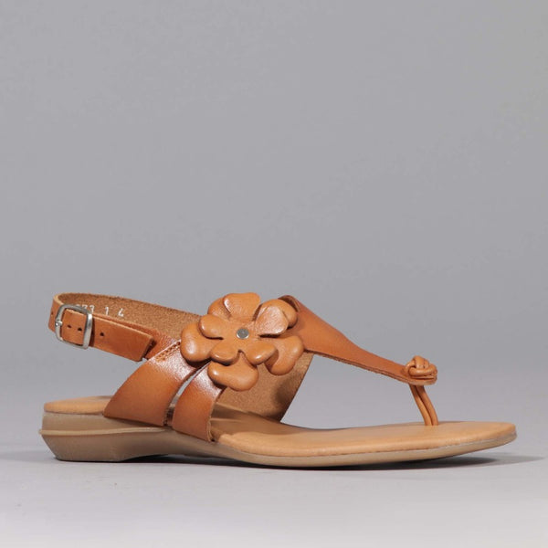 Flower Thong Sandal in Natural - 12621 - Froggie Shoes
