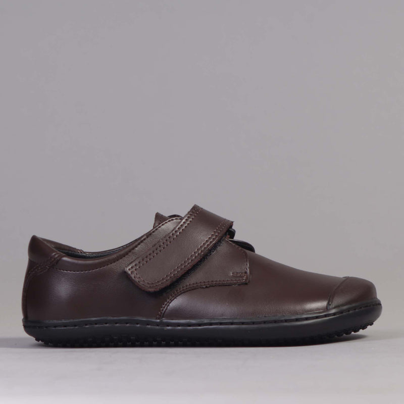 Boys Velcro School Shoe in Brown Sizes 34-38 - 7814
