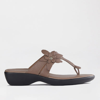 Froggie Shoes Shoes 4 / Stone / 12930 T-bar with flow Sandal in Stone - 12930