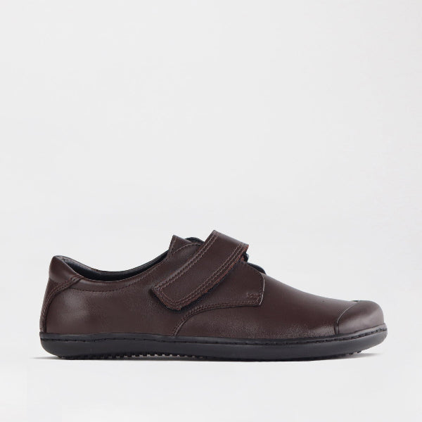 Froggie Shoes Shoes Boys Velcro School Shoe in Brown Sizes 34-38 - 7814