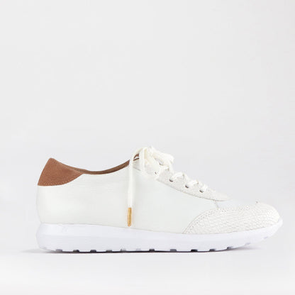 Froggie Shoes Shoes 4 / White Multi / 12594 Lace-up Sneaker in White - 12594