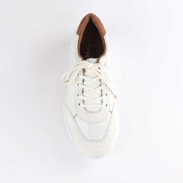 Froggie Shoes Shoes Lace-up Sneaker in White - 12594