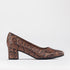 Froggie Shoes Shoes 3 / Saddle / 12604 Pointed Block Heel Court Shoes in Saddle - 12604